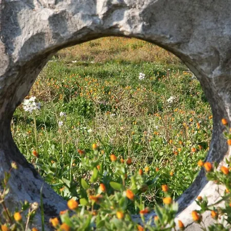Nyaraló Rota